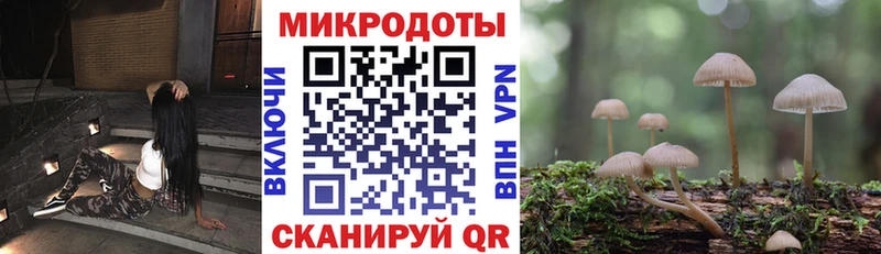 Псилоцибиновые грибы Cubensis  Суздаль 